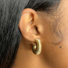 Zeina Mini Hoop Earrings